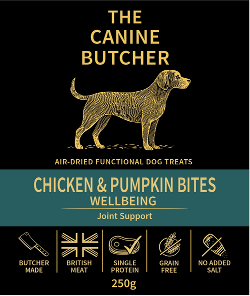 Chicken & Pumpkin