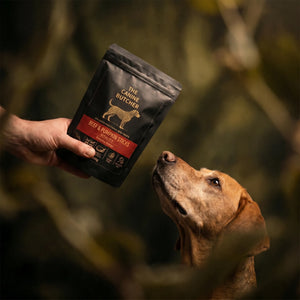 Rawhide vs Natural Dog Treats: Which Is Safer for Your Dog?