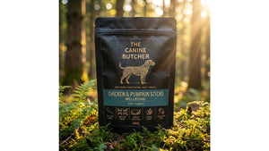 Best Healthy Dog Treat Brands for 2026