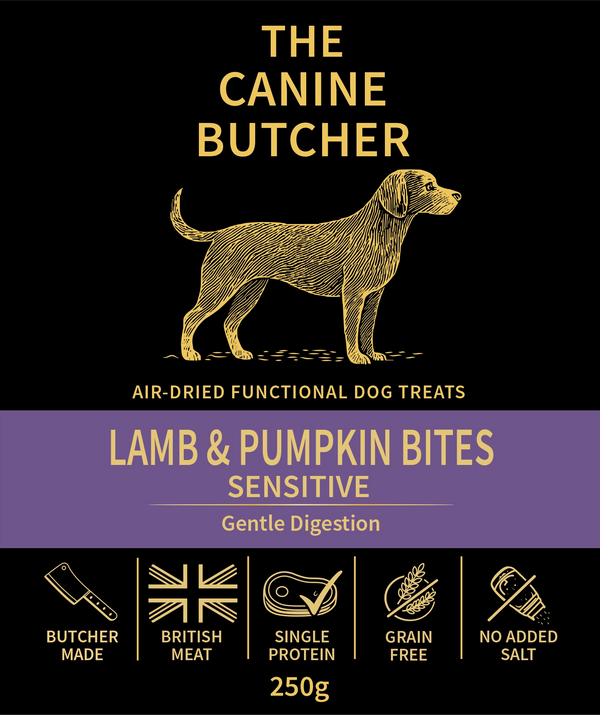 Lamb & Pumpkin